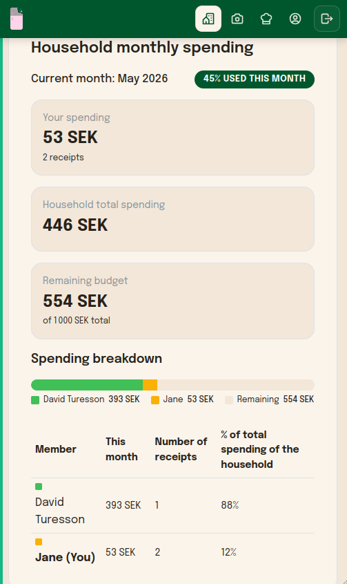 Household budget overview